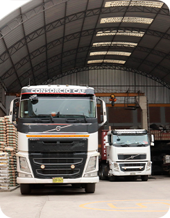 Consorcio CAF